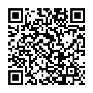 停留在这里的十几名主神自然也都注意到剑尘的动作二维码生成