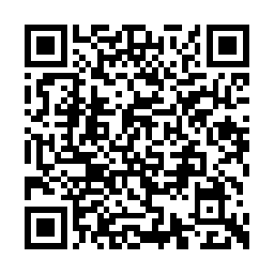 像什么也没有发生过似的缩回到张潇晗的臂弯里二维码生成