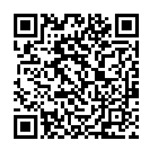 像你们江州大学的中医学院院长洪文景我也是认识的二维码生成