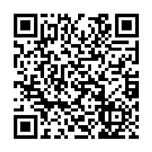 像你这样的小子肯定是实力不够所以没有资格出战二维码生成