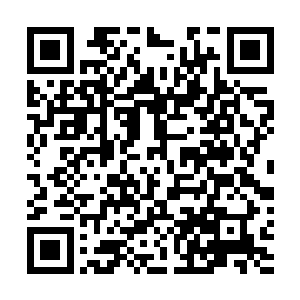 像冰冻机甲腿部这种不入流的伎俩这个时候就格外的实用二维码生成