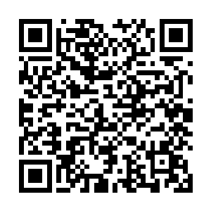 像我这样有才华又年轻的男人真的提着灯笼也找不到的二维码生成