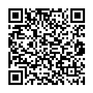 像是不曾看到已经环绕在他四方的无数詹台氏的族人二维码生成