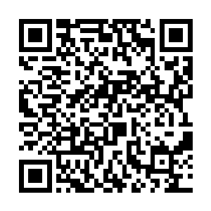 像是什么东西触及到了杨辰内心一根引爆炸药的神经二维码生成