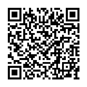 像是木偶一样的反应已经说明他们就是机械战士二维码生成