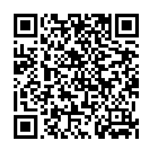 像是柔弱小白兔一样被雪如楼护在怀里的流墨墨二维码生成