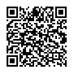 像是看中了杨玲珑和他一样修炼的是金属性变异功法二维码生成