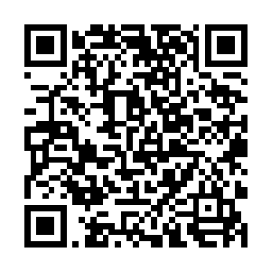 像杨戬这种人的实力绝对不能够用气势和修为还衡量二维码生成
