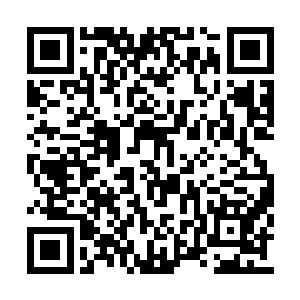 像眼前这一位进专员会客室门时满脸沉重和忐忑二维码生成