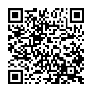 像自己这样的小人物现在到底有什么值得长老们关注的呢二维码生成