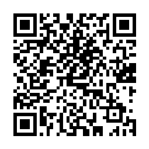 像这段时间闻部长很少见的不悦表情就时不时出现在脸上了二维码生成
