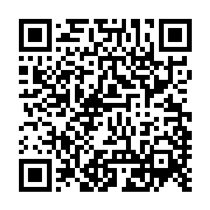 像这种千载难逢的机会在解说台上可不是经常能遇到的……二维码生成