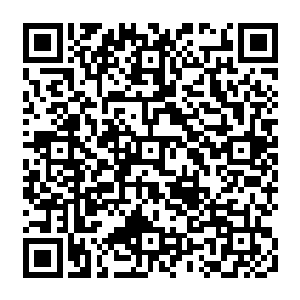 儒风在看到叶秋的动作的时候也立刻召集了身边的师兄弟摆好了阵法去和叶秋对阵二维码生成