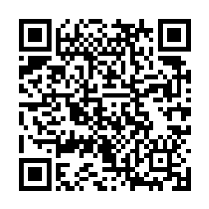儿子还说其实每一域都并非表面上看到的那么简单二维码生成