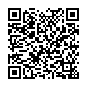 元族也和神族魔族混沌巨兽同属于第二序列的生命二维码生成