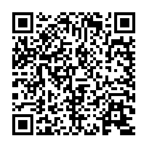 元气秘剑的威力更是让他在宗师级就释放出堪比至尊境的攻击力了二维码生成