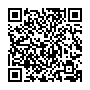 元芳和赖雨涵对洞主想在杨庆内部起内讧是绝对支持的二维码生成