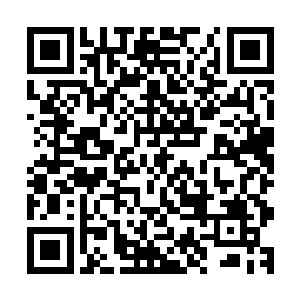 先不说外面是为了竞争雷氏一个职位是挣得个如何的头破血流二维码生成