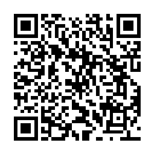 先不说扬家是否参与进这桩案子或者说参与到什么程度二维码生成