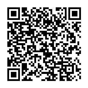 先出来的笛家父子早已带着司空珊娜的便携医疗舱用传送带离开了二维码生成