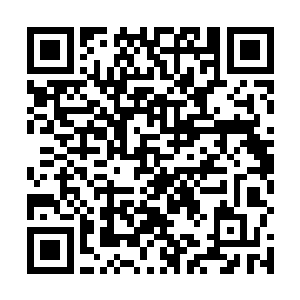 先前冷轩交代那些人质手持武器在会议室里面进行防守二维码生成