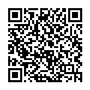 先前只是微红的眼圈里此刻居然荡漾起了盈盈的泪水二维码生成