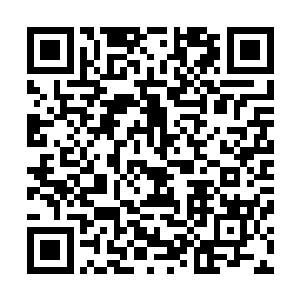 先前在雁回关墙根下蹲着换上一张舒羞精心制造的易容面具二维码生成