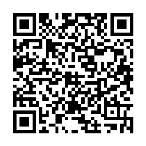 先前威风凛凛的康家家奴们自然不敢与锦衣卫顶撞二维码生成