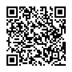 先前的时候他回来了之后肯定会第一时间就选择离开了二维码生成