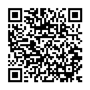 先后在佛蒙特州立大学和蒙特利尔的肯考狄亚大学攻读历史学二维码生成