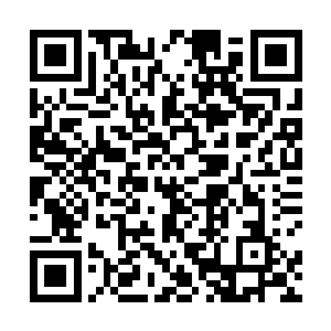 先奉上给和他们同样在易州瓦砾堆里安身的白梃兵上下二维码生成