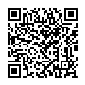 先是在兑换商店找到了可以放在阳台种菜的架子二维码生成