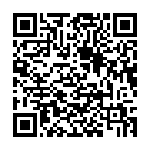 先让他们去再捞一笔……至于以后各大势力的加入二维码生成