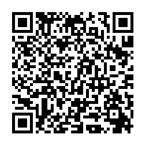 光是这些冰原石的总数目换算成极品灵石都将是以亿为单位来计算的二维码生成