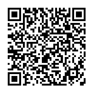 光是这场食肉动物和被捕食猎物在一起的罕见场面就足以令全世界的科学家疯狂二维码生成