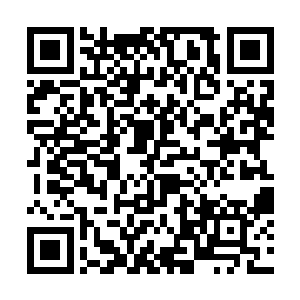 光靠他们自身的战力和数量也足以横扫一般的神界了二维码生成