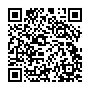 光靠血翅和血丹二连爆的魂体增幅是打不过连熙的二维码生成