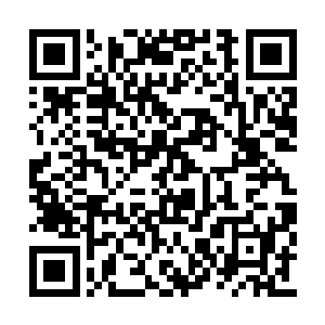 克伦科家族在神城中的地位和他们蓝山家族相当二维码生成