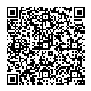 克拉克和达尔则帮他把那些大包小包还有装着那一套锋矢b型轻装防御盔甲的箱子拿上了车后座二维码生成