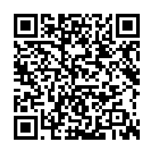 免得他日后仗着师尊的宠信而无视他这个大师兄二维码生成