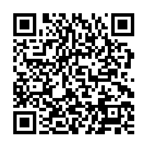 党群副书记在县委政府中是仅排在县委书记和县长的第三号人物二维码生成