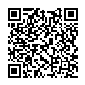 入了夜的香榭丽大街两旁的树上都挂上璀璨的灯火二维码生成