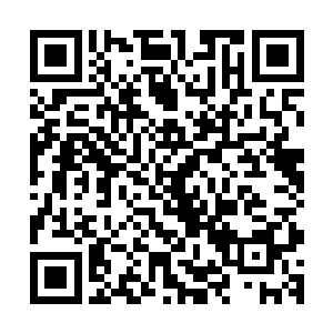 全军携带的火油全部被他们泼在那些绿意盎然的藤蔓和树木上二维码生成