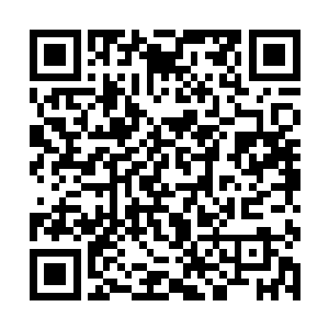 全力催动星宿神殿的力量对着宇智波带土就刷了下去二维码生成