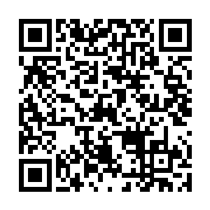 全混沌重生君临异界23488然不管门卫在身后大喊大叫二维码生成