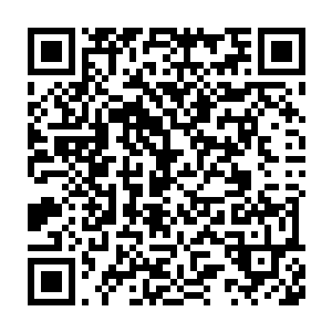 全身上下似乎洋溢着一种癌症病人被确定为误诊之后的那种斗争昂扬二维码生成
