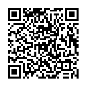 全部被万民书加持在他身上的那一层光膜给抵挡了下来二维码生成