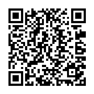 全部被汹涌喷薄而出的气息冲击得晃动破碎而后消失二维码生成
