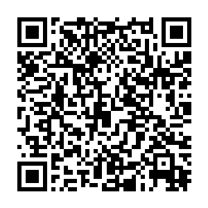 全部遭遇到它狂暴的劲气切割……却依然没能找寻到秦方的半点线索二维码生成