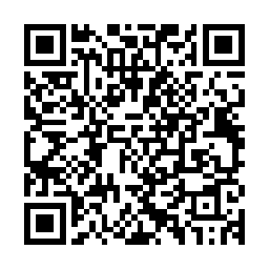 全部都是因为曾经佛门门主依靠这串看上去并非很是奇特的佛珠二维码生成